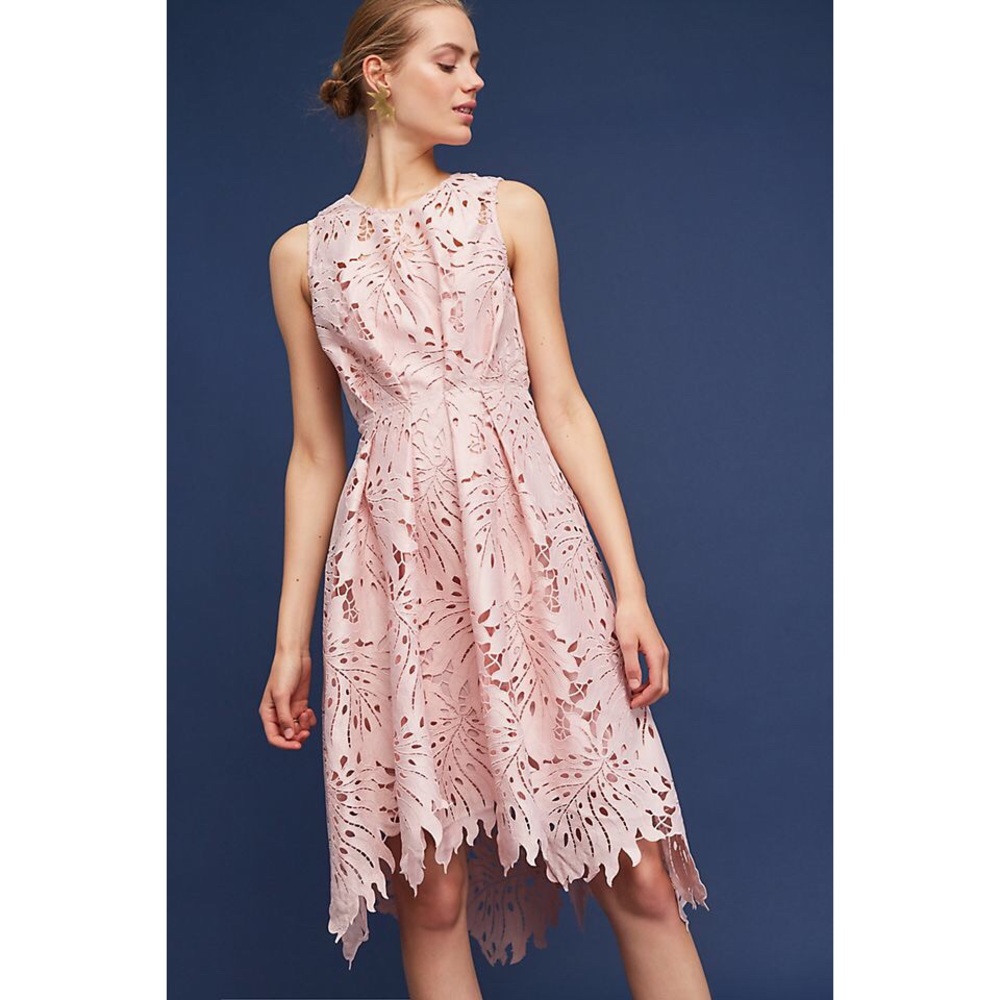 Anthropologie Eva Franco Palm Lace Dress Pink Sz 4